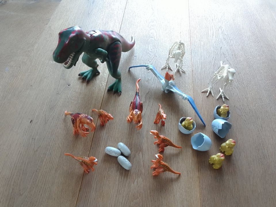 Verkaufe Playmobil Figuren Dinosaurier T-Rex Raptor Skelette in Fehmarn