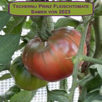 NEUE ERNTE 2023 Tschernij Prinz Tomate 15 Samen aus Bio Anbau Hessen - Borken Vorschau