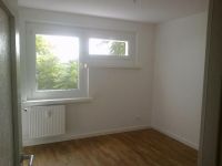 Malerarbeit zum Festpreis zB. 50m² Wohnung Weiß Streichen 500,- € Neuhausen-Nymphenburg - Neuhausen Vorschau