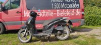 Kymco PeopleS 50 Roller - Ersatzteile Agility DJ50S Fever Super8 Nordrhein-Westfalen - Werther (Westfalen) Vorschau