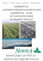 Landwirt / Landmaschinen- Schlosser auf Rügen Mecklenburg-Vorpommern - Altenkirchen Vorschau