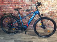 CONWAY CAIRON C 2.0 Herrenrad E-Bike 500Wh Akku Bosch Niedersachsen - Munster Vorschau