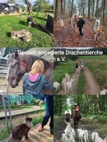 Freizeit Aktivitäten Rheinland-Pfalz - Zweibrücken Vorschau