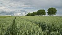 Suchen Ackerland zur Pacht Niedersachsen - Beverstedt Vorschau