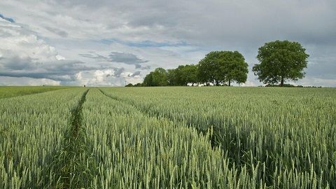 Suchen Ackerland zur Pacht in Beverstedt