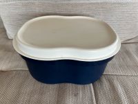 Tupperware Brotbox Brotkasten blau Hessen - Wetzlar Vorschau