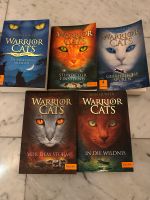 Verschiedene Warrior Cats Bücher Bayern - Oberottmarshausen Vorschau