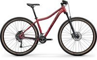 CENTURION Backfire Fit Pro 200.29 29" cranberry MTB Hardtail NEU! Sachsen - Langenweißbach Vorschau