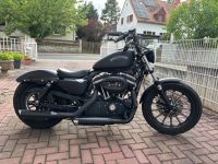 Harley-Davidson Iron 883 Jekyll & Hyde Rheinland-Pfalz - Freinsheim Vorschau