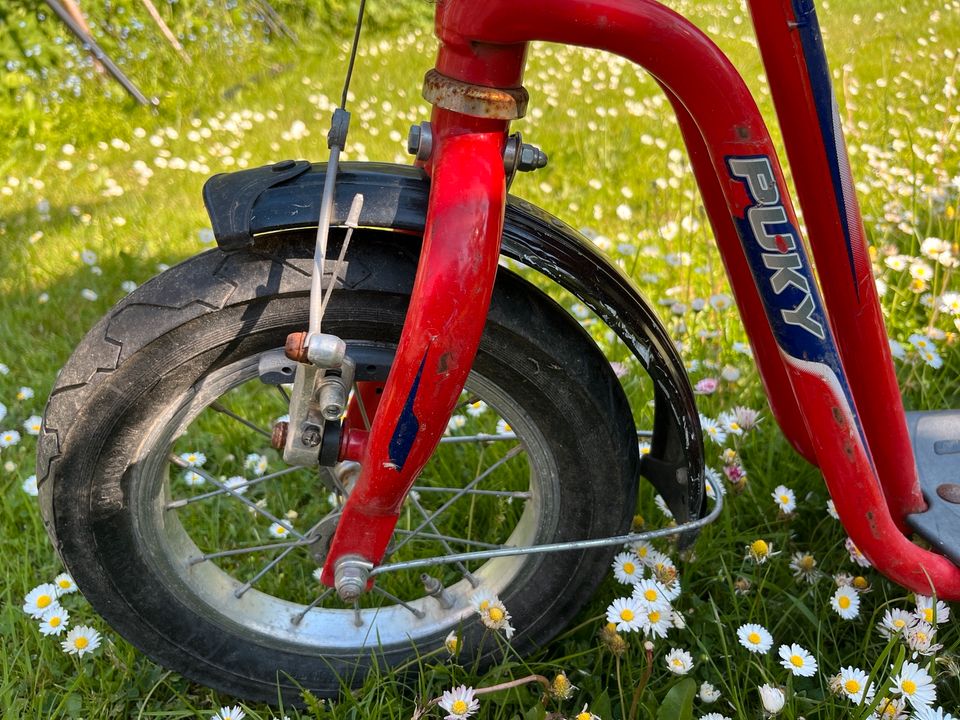 Puki Roller Luftreifen in Kiel