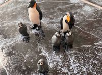 Playmobil Pinguin Familie Niedersachsen - Großenkneten Vorschau