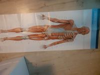 Anatomie Plakate Prometheus Berlin - Charlottenburg Vorschau