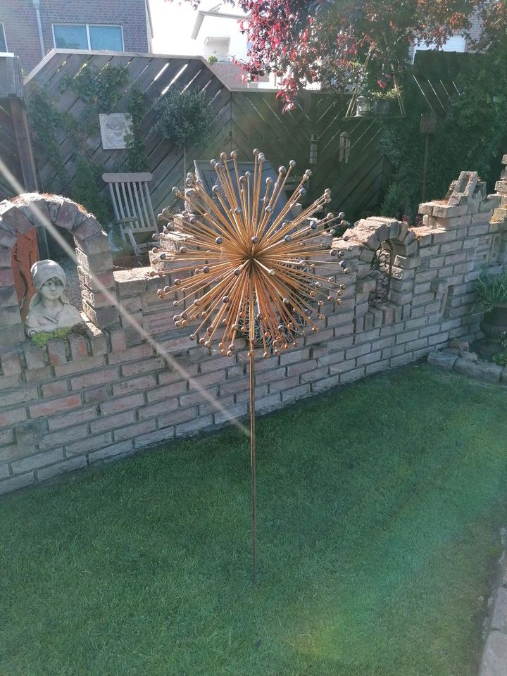 Große Pusteblume in Stadtlohn