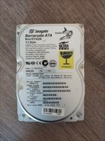 Seagate Barracuda ATA 14,2 gb (aus Amiga Konvolut) Hessen - Kassel Vorschau