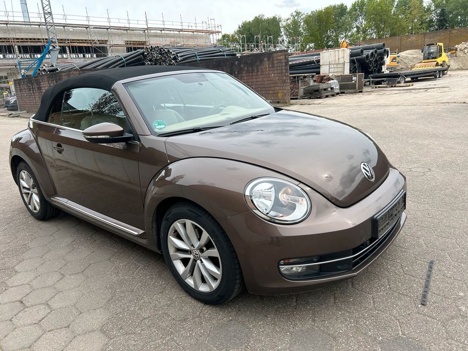 VW Beetle Cabrio  2.0l  TDI in Ahaus