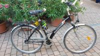 Herrenfahrrad Framework Typ Barcelona / 7 Gang / 28 Zoll Baden-Württemberg - Ilvesheim Vorschau