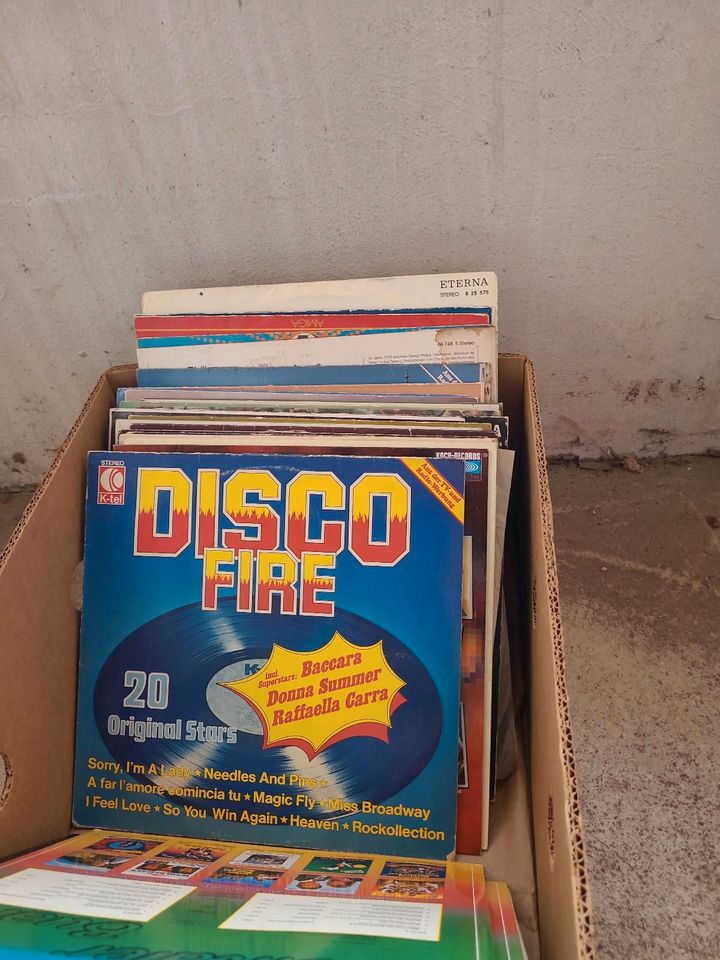 Schallplatten Sammlung in Ronnenberg