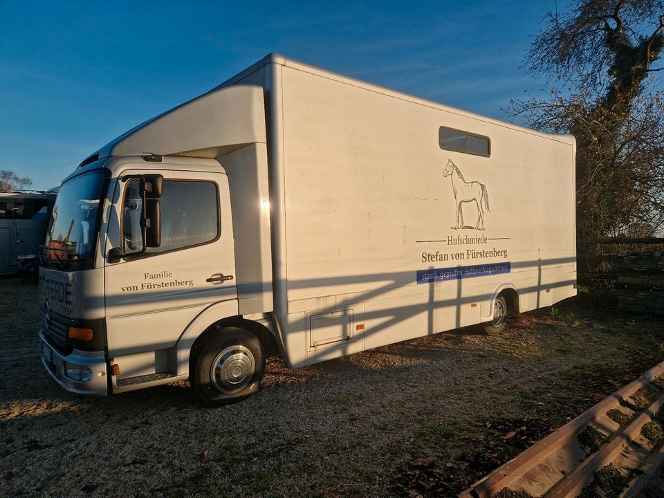 Pferdetransporter,Pferde Lkw,Wohnabteil,Sattelkammer in Viersen