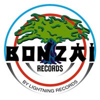 ❌BONZAI Records Paket❌1995 Hard Trance/Techno/Hardcore❌5x12“❌ Bayern - Graben (Lechfeld) Vorschau