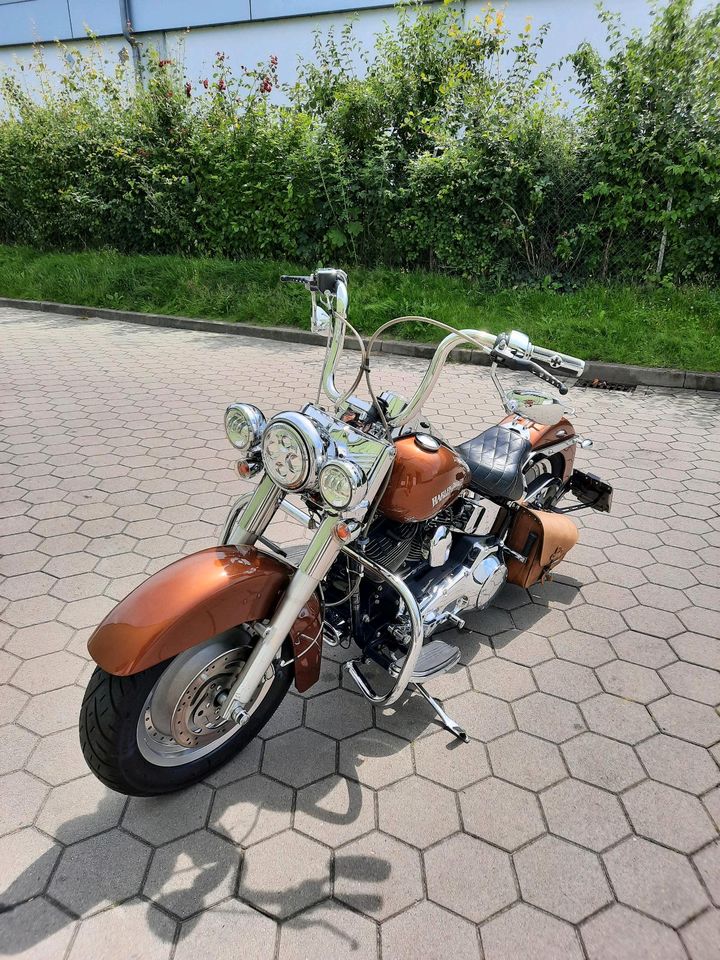 Harley Davidson softail in Hamburg