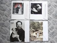 7x Athena/Fotographica Sammler Motiv Briefkarten Picture Card Niedersachsen - Wahrenholz Vorschau