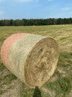 Heu,Stroh Heulage für Allergiker Pferde Mecklenburg-Vorpommern - Torgelow Vorschau