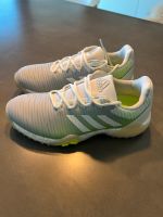 Adidas Codechaos Golfschuhe Damen 38 + 38 2/3 NEU Bayern - Neu Ulm Vorschau