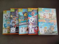 DVDs 5 Stck. Paw Patrol Nordrhein-Westfalen - Oberhausen Vorschau