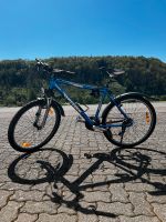 Fahrrad zu verkaufen Hessen - Diemelsee Vorschau