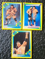 WWF Steiner Brothers Wrestling Sammelkarte 1993 merlin Berlin - Tempelhof Vorschau