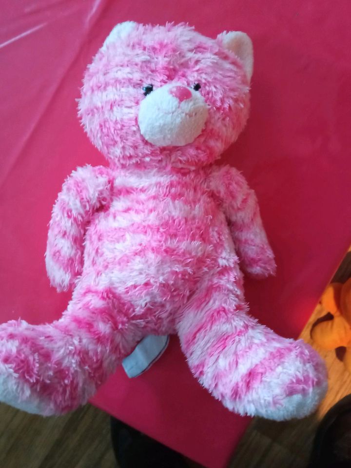 Dieser gebrauchte Plüschteddy ist eine süße Geschenkidee in Frankfurt am Main