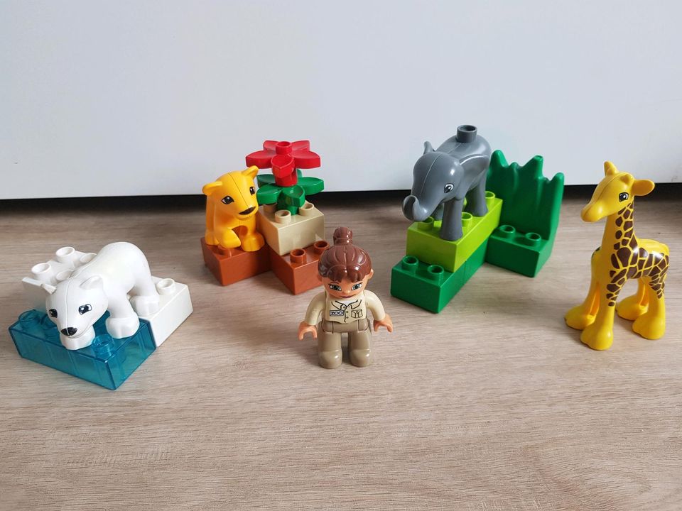 Lego Duplo Sets Zootiere, Seelöwenshow und Safari in Moers