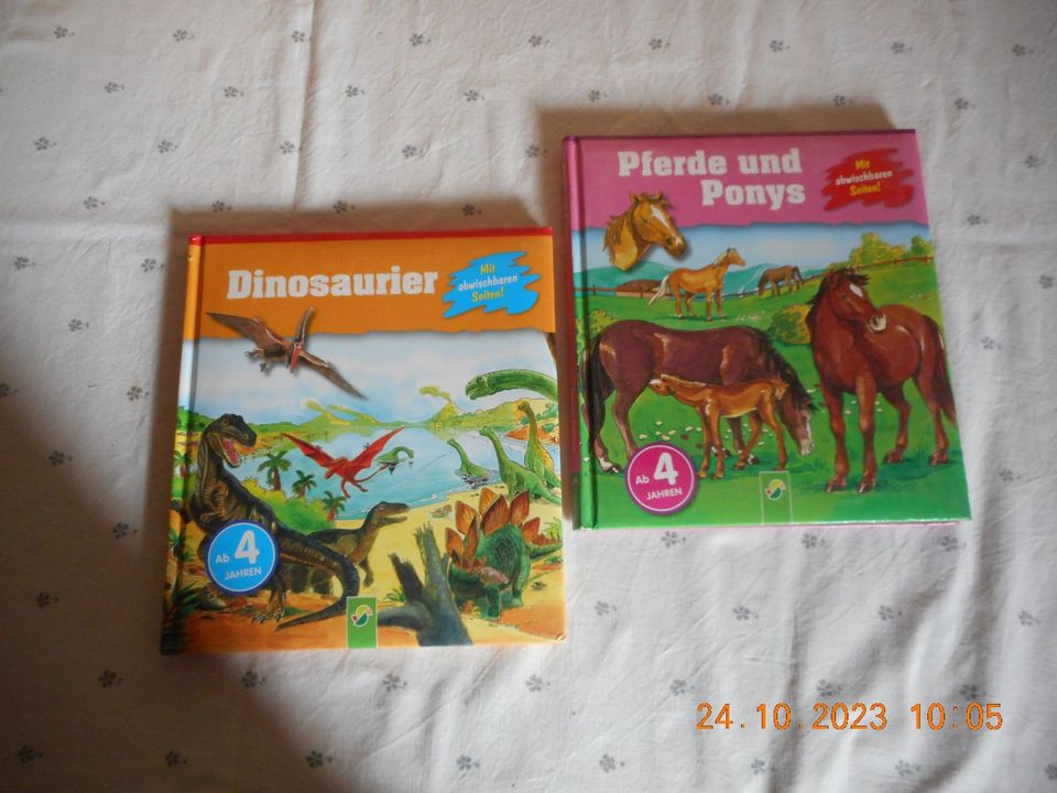 diverse Kinderbücher von Walt Disney und anderen Verlagen in Oppach