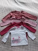 Baby Mädchen: 4 Langarm - Shirts, 95% Bio-Baumwolle, Größe 62/68 Hamburg-Nord - Hamburg Barmbek Vorschau