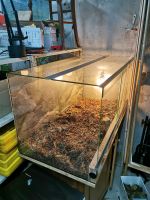 Terrarium 120 x 60 x 60 Hessen - Ober-Ramstadt Vorschau