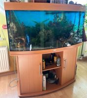 Aquarium samt Inhalt und Zubehör Niedersachsen - Bodenwerder Vorschau