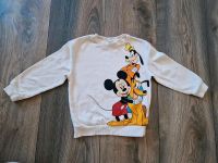 Pullover H&M Größe 110/116 Disney Hansestadt Demmin - Demmin Vorschau