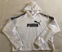 Original Puma Sweatshirt wie neu Nordrhein-Westfalen - Extertal Vorschau