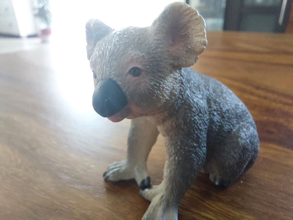 Süßer Koala von Schleich Spielfigur Australien in Dresden