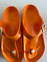 Birkenstock Niedersachsen - Stade Vorschau
