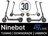Ninebot Tuning/Downgrade für G2D, G30D, F40 und weitere Bayern - Möhrendorf Vorschau