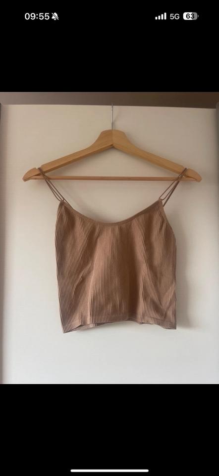 Zara crop top beige XS-S Neu in Regensburg