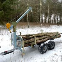 Anhänger Quad ATV Kipperanhänger 700 Kg Rasentraktor mit Seilkran Thüringen - Erfurt Vorschau