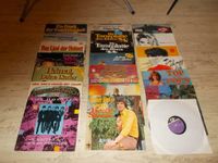 Schallplatten Sammlung  ---  21 LP`s Baden-Württemberg - Hockenheim Vorschau