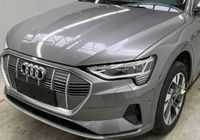 Audi e-tron 55 LZ7F FRONTPAKET Sachsen - Görlitz Vorschau