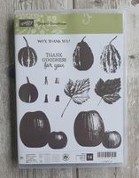 Stampin' UP! Stempelset GOURD GOODNESS (neu) Herbst, Kürbis Wandsbek - Hamburg Volksdorf Vorschau