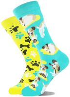 Lustige Motivsocken, Baumwolle, Unisex, Hund, 38-45 Leipzig - Leipzig, Zentrum Vorschau