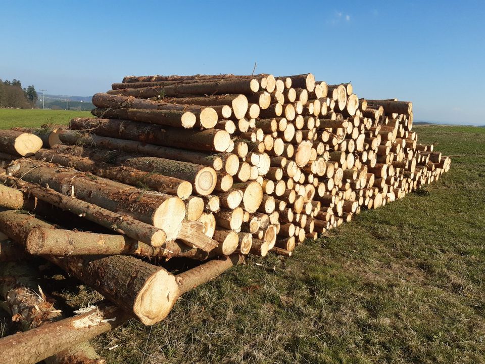 Brennholz Kaminholz zur Selbstabholung in Elsterberg