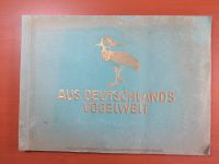 2 alte Bücher "aus Deutschland Vogelwelt" + "Moderne Malerei" Kreis Ostholstein - Neustadt in Holstein Vorschau