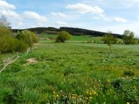 Verpachte Freizeitgrundstück, Wiese in 86473 Ziemetshausen Bayern - Ziemetshausen Vorschau